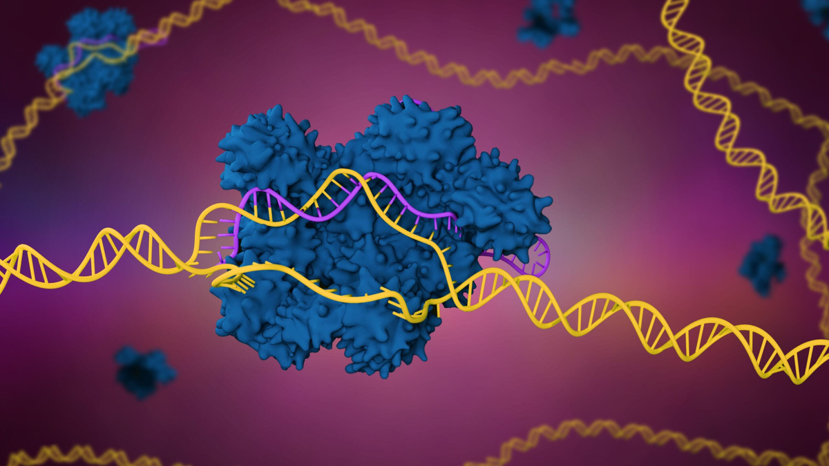 ¿Qué es CRISPR?